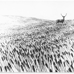 Meadow by Pejac