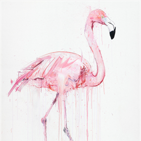 Flamingo I by Dave White