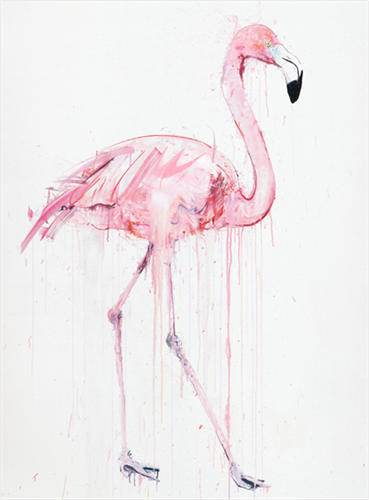 Flamingo I  by Dave White