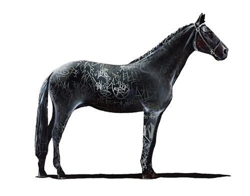 Graff Equestrian I  by Shai Dahan