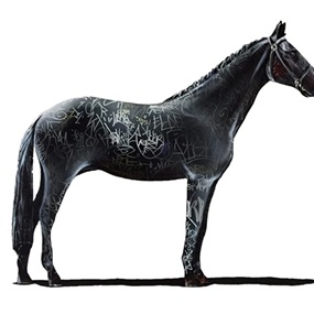 Graff Equestrian I by Shai Dahan