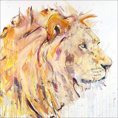 Lion  by Dave White