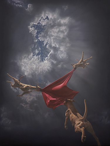 Return To Genesis  by Joel Rea