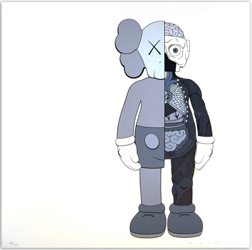 Dissected Companion Print (Grey) by Kaws