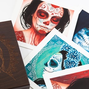 Calavera Box Set by Sylvia Ji