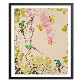 Beautiful Sunbirds (Creme Variant) by Xenz