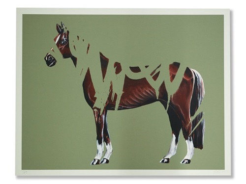 The Klotter Horse #2  by Shai Dahan