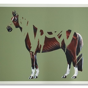 The Klotter Horse #2 by Shai Dahan