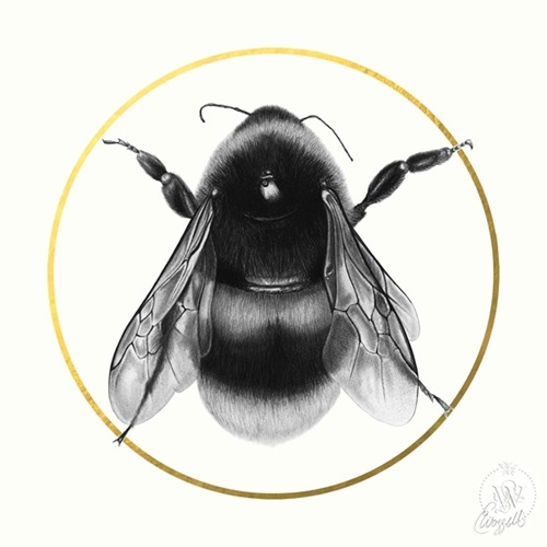 Bee  by Elizabeth Waggett