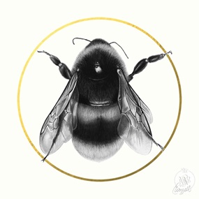 Bee by Elizabeth Waggett