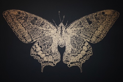 Butterfly (First Edition) by Noa Prints