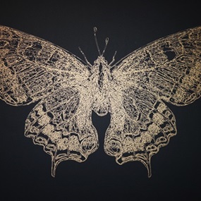 Butterfly (First Edition) by Noa Prints