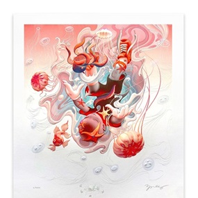 Descendent VI (Timed Edition) by James Jean