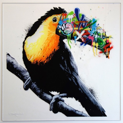 Toucan (Acrylic) by Martin Whatson