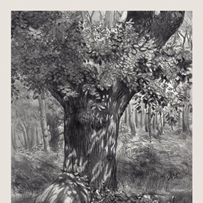 Cannock Chase Tree by Jessica Taylor