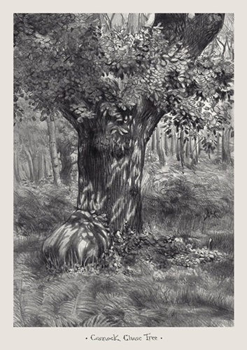 Cannock Chase Tree  by Jessica Taylor