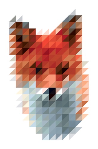 Fox  by Victor Van Gaasbeek