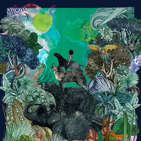 The Jungle Book (Navy) by Lucille Clerc