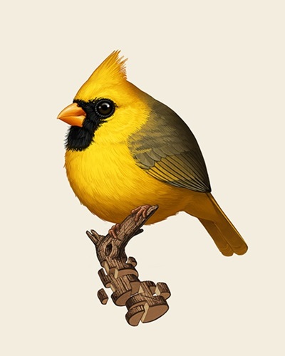 Northern Cardinal (Yellow)  by Mike Mitchell