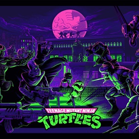 Teenage Mutant Ninja Turtles (First Edition) by Juan Ramos