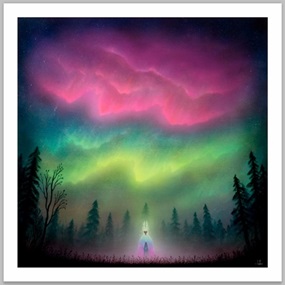 Bask In Phenomena by Andy Kehoe