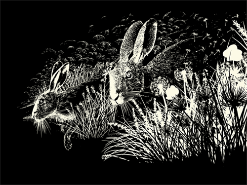 Watership Down  by Raid71