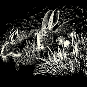 Watership Down by Raid71