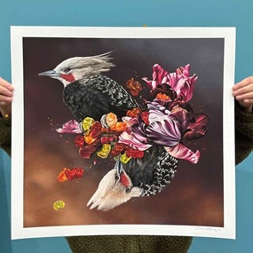 Adaptogens by Josie Morway