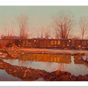 Ameliorator by Pat Perry