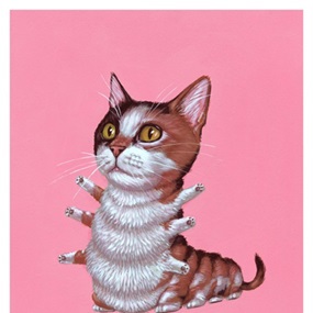 Calico Cat by Casey Weldon
