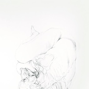 Sleeping Wolf Study (First Edition) by John Simpson