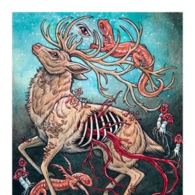 Stag & Salamander by Caitlin Hackett