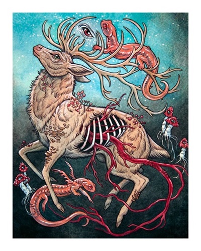 Stag & Salamander  by Caitlin Hackett