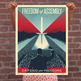 Defend Your Freedoms - Freedom Of Assembly by Shepard Fairey