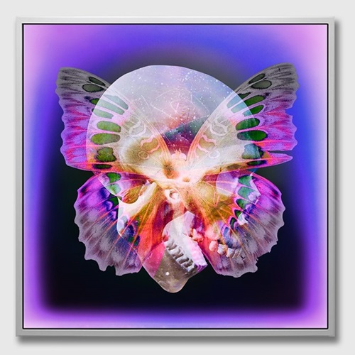 Butterfly Skull (Purple) by Nick Thomm