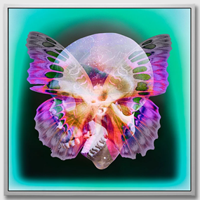 Butterfly Skull (Turquoise) by Nick Thomm