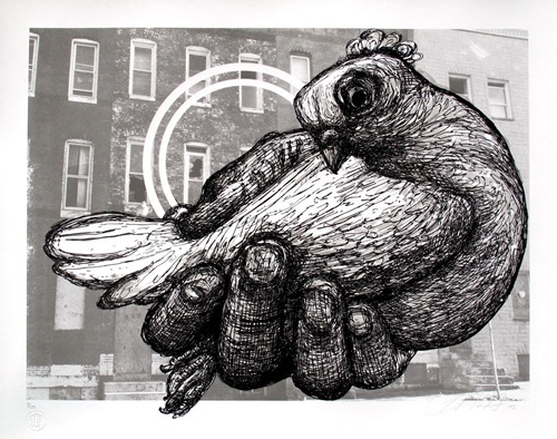 Carrier Pigeon  by Gaia