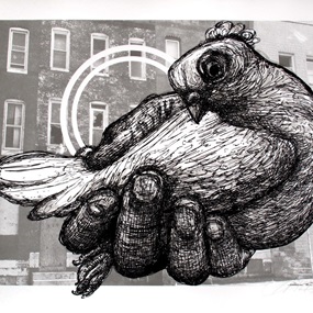 Carrier Pigeon by Gaia