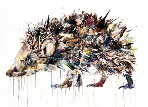 Hedgehog  by Dave White