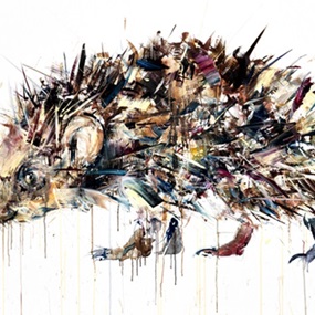 Hedgehog by Dave White