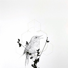 Meadow Bird by Jessica Albarn