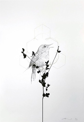 Meadow Bird  by Jessica Albarn