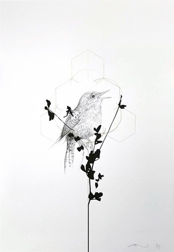 Meadow Bird  by Jessica Albarn