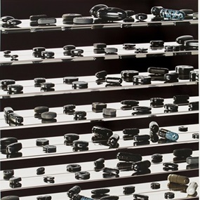 Dead Black Utopia by Damien Hirst