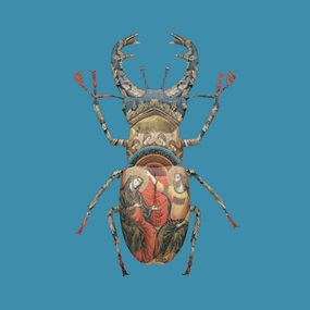 Venetian Stag Beetle (First Edition) by Magnus Gjoen