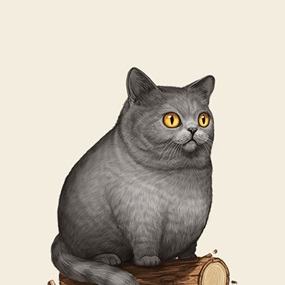 Fat Friends - British Shorthair by Mike Mitchell
