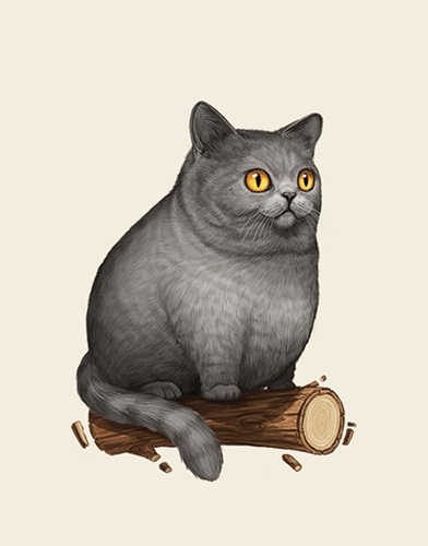Fat Friends - British Shorthair  by Mike Mitchell
