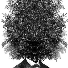 New Leaves by Dan Hillier