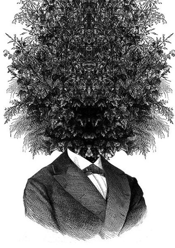 New Leaves By Dan Hillier Editioned Artwork Art Collectorz