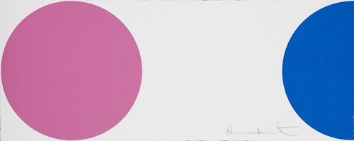 Quinizarin  by Damien Hirst